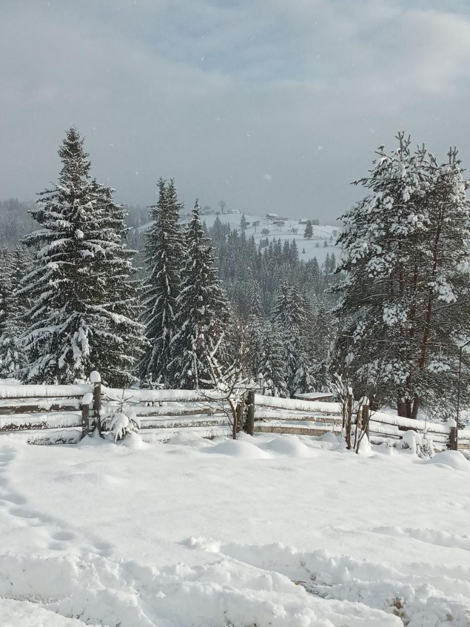 Котеджі Зоряне Небо Bukowel Zewnętrze zdjęcie